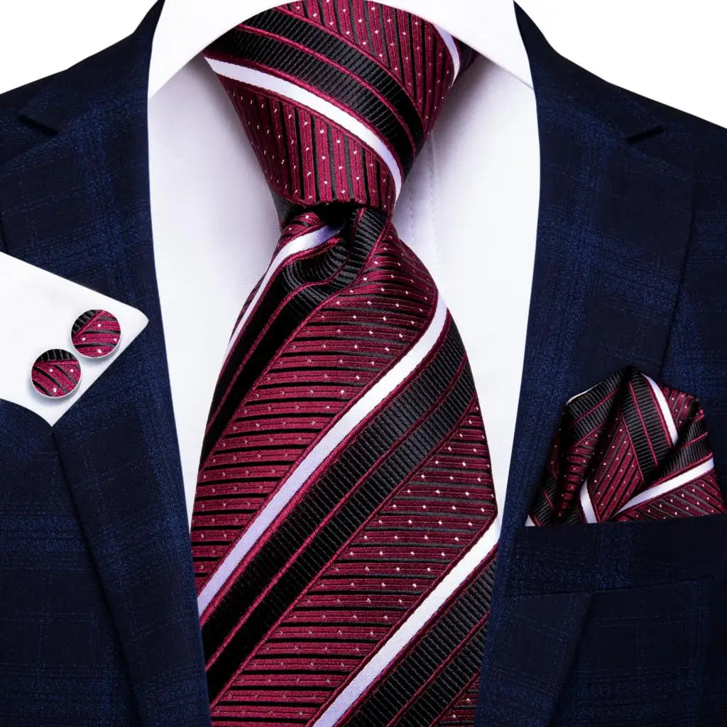 Professional Ties in Multiple Shades for Men