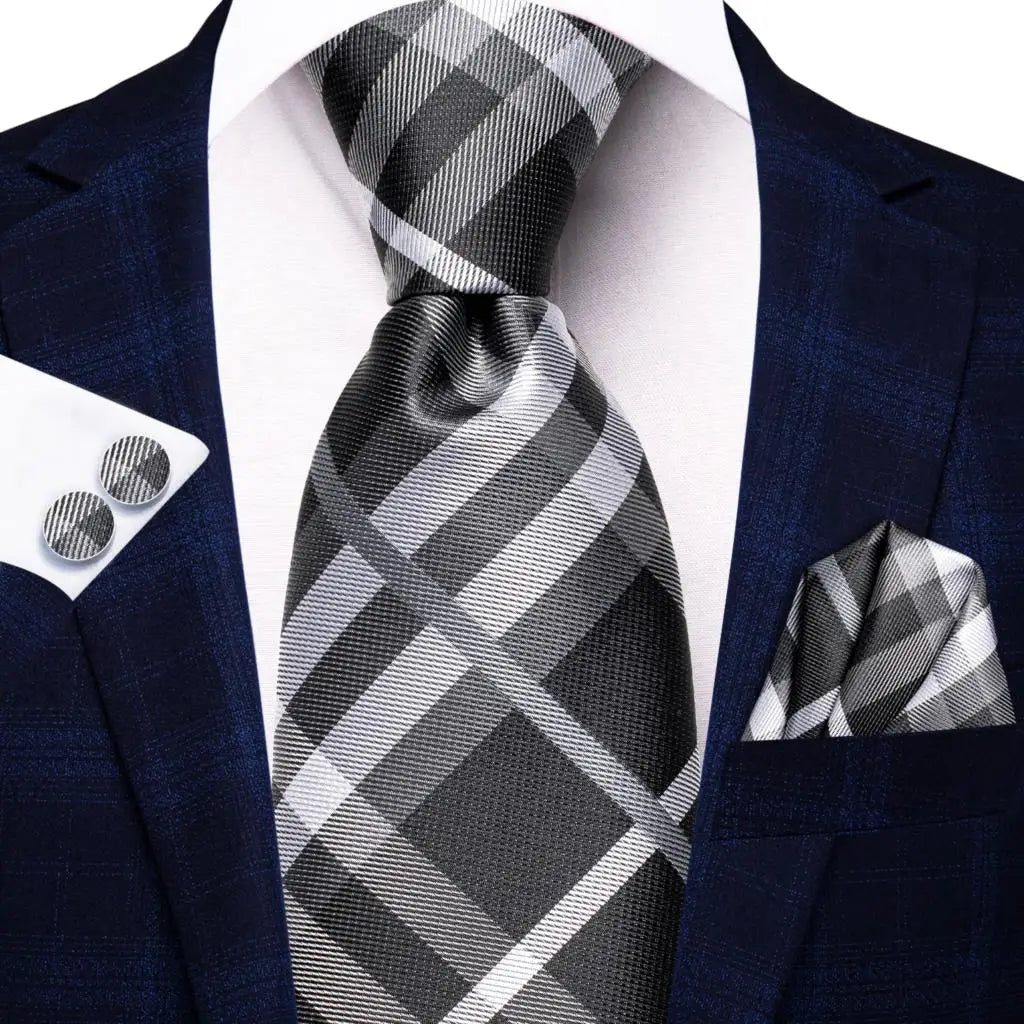Professional Ties in Multiple Shades for Men