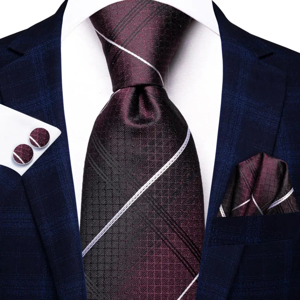 Professional Ties in Multiple Shades for Men